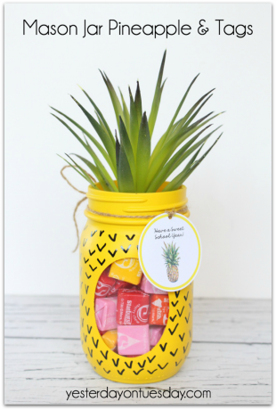Zelfgemaakte ananaspot