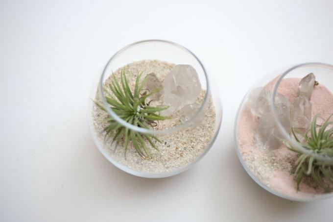 Plantes succulentes de planteur de quartz en cristal de bricolage