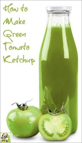Žaliųjų pomidorų kečupo receptas