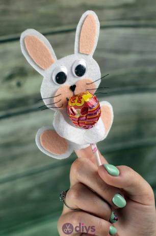 Lollipop houder vilt konijn project