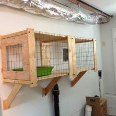 Caja de arena para garaje para gatos