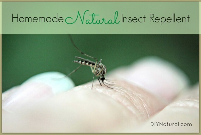 Repelente de insetos caseiro natural feito por você mesmo