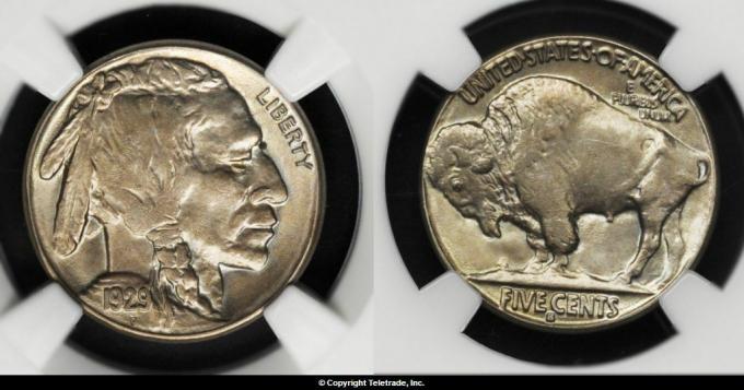 Buffalo Nickel Graded Mint State 63 (MS63)