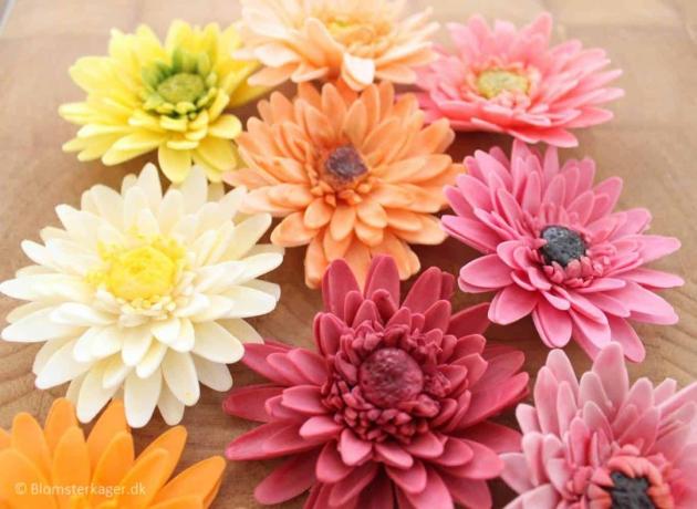 DIY gerbera daisy