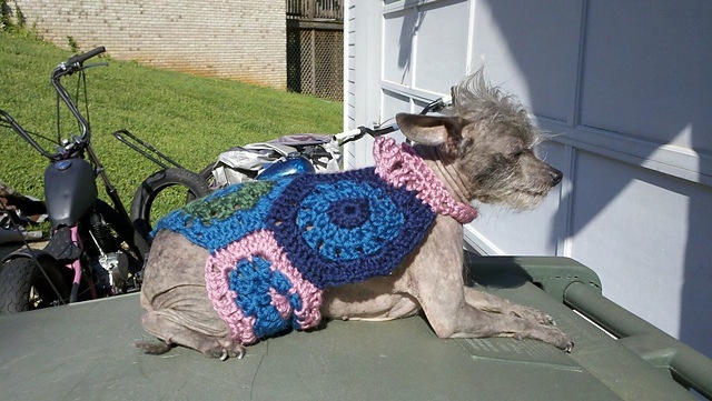 Šešiakampis naminių gyvūnėlių megztinis