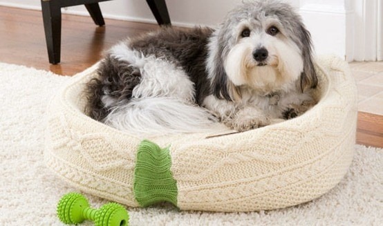 postel ve svetru pro psa
