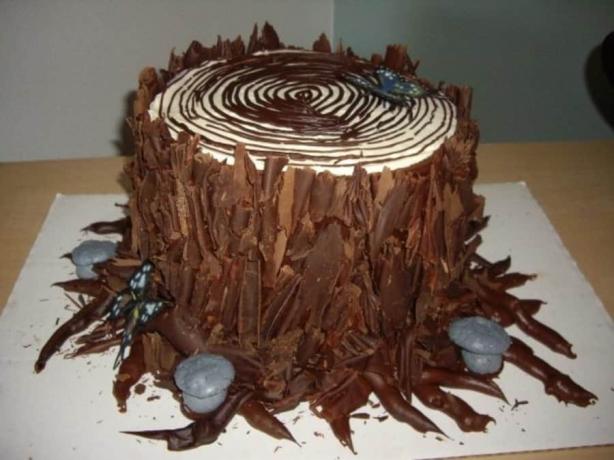 Sjokoladespon bark kake
