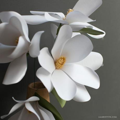 flori de magnolie de hârtie