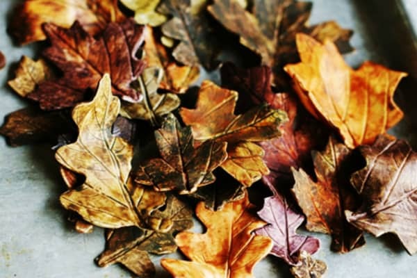 Feuilles de pâte de gomme bricolage 2