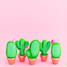 Cactus macarons met eetbare bloemen