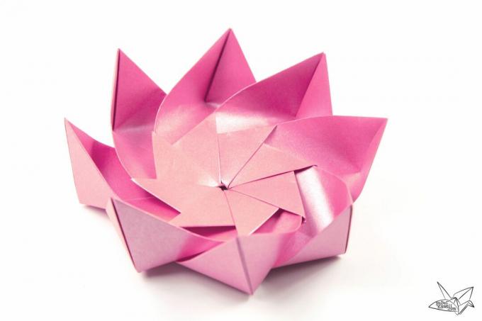 Розовый цветок лотоса оригами