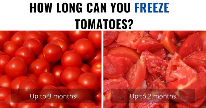 Wie lange können Sie frische Tomaten im Gefrierschrank aufbewahren?