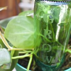 DIY skleněná leptaná láhev na zalévání rostlin