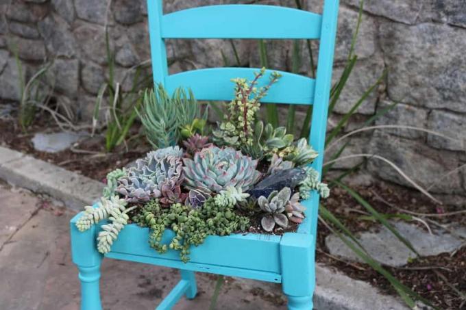 Diy succulente stoel