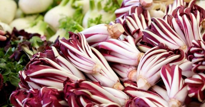 Een foto van Radicchio's