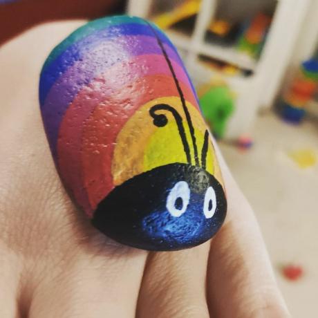 Rainbow bug