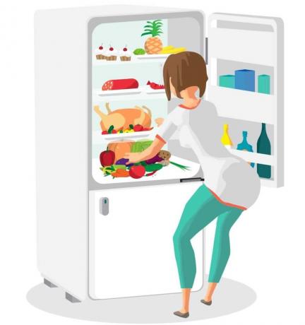 Ein Bild, das einen Truthahn im Kühlschrank zeigt