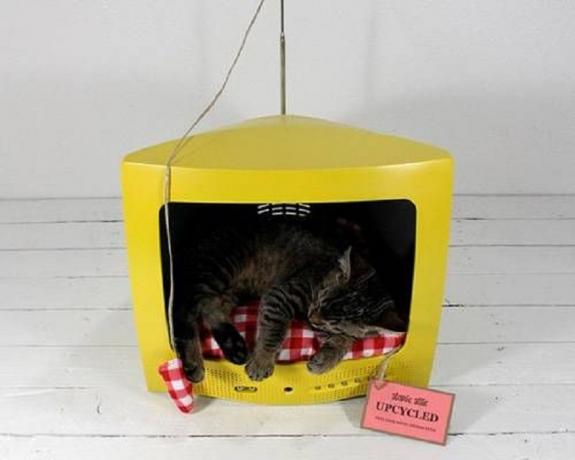 Sena televizoriaus katės lova
