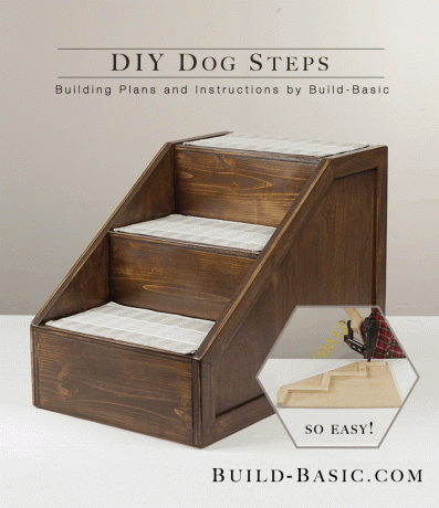 Langkah-langkah anjing DIY