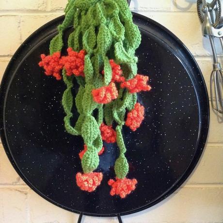 Modèle gratuit de cactus au crochet avec des fleurs