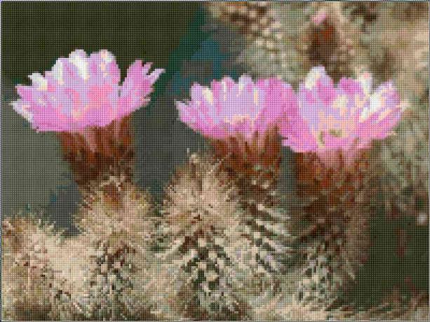 Una hermosa flor de cactus en punto de cruz.