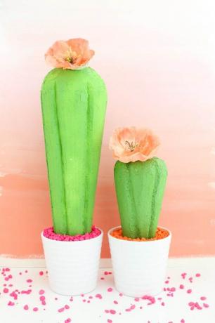 Cactus centrala bricolaj