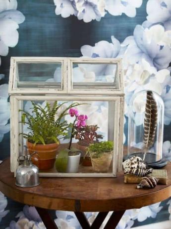 Terarium bingkai foto diy