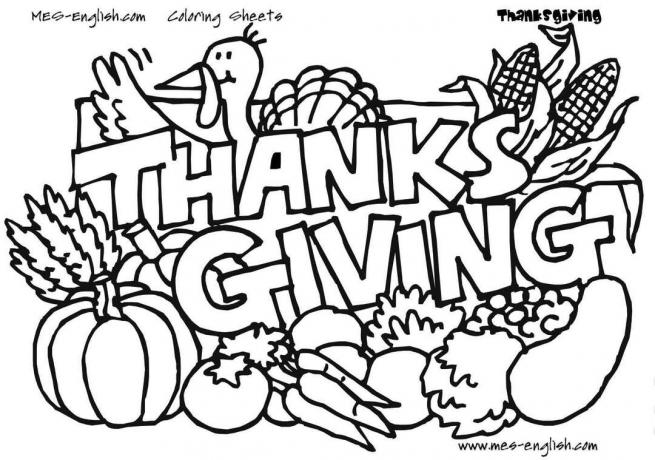 En kalkun og grønnsaker med uttrykket " Thanksgiving."