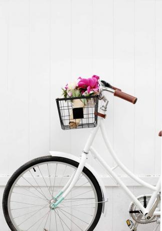 Cesta de bicicleta de arame DIY