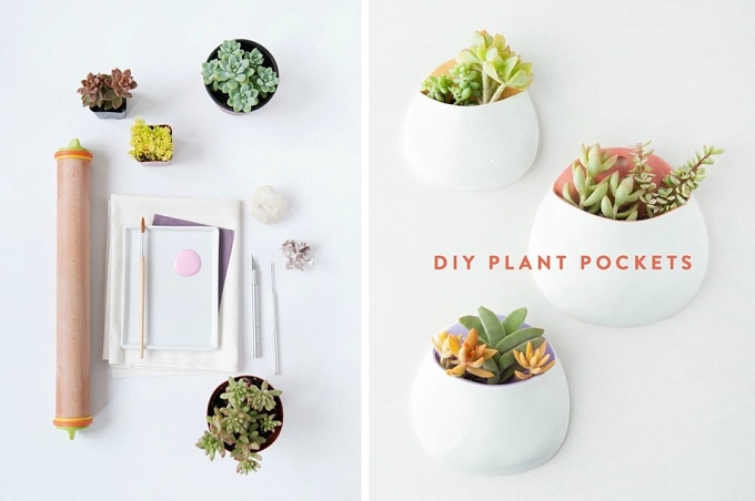 Buzunare pentru plante DIY