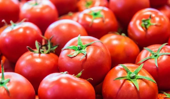 Švieži ekologiški pomidorai