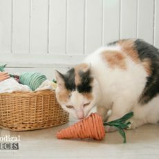 Válcované papírové mache kočičí zeleninové hračky