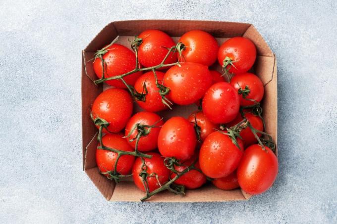 Wie man Tomaten blanchiert und einfriert