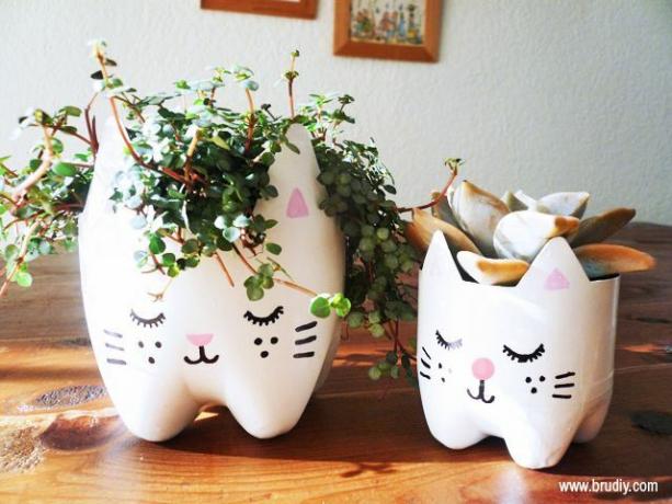 plantador de gatos reciclado