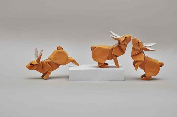 origami králíci