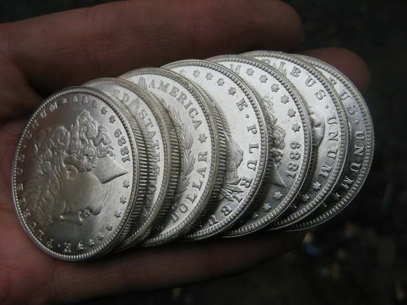 Septyni netikri „Morgan“ sidabro doleriai žmogaus rankoje.