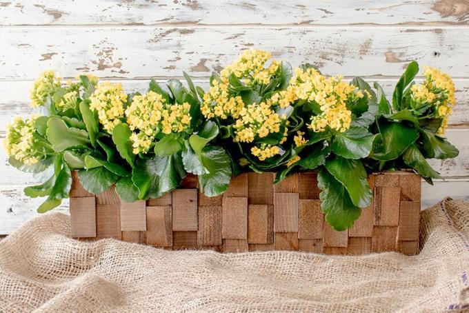 DIY drevený kvetináč