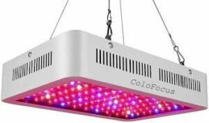 ColoFocus 600W LED Tanaman Dalam Ruangan Tumbuh Kit Cahaya